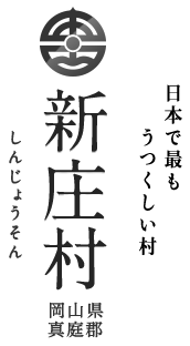 新庄村